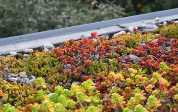 the cost of Lowfield green roof installation